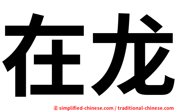 在龙