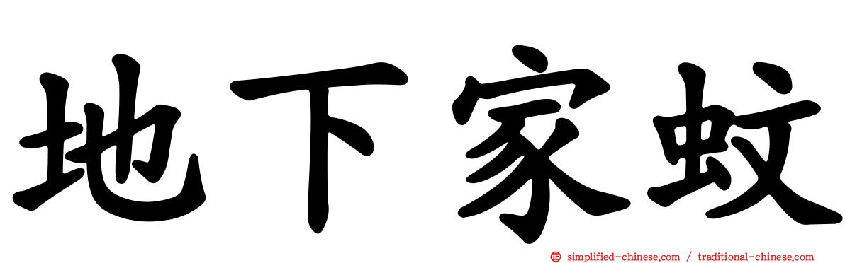 地下家蚊