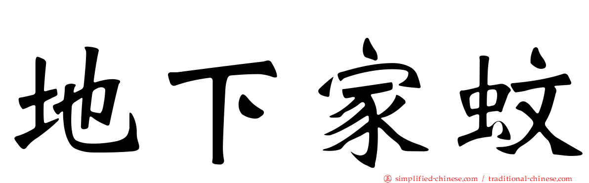 地下家蚊