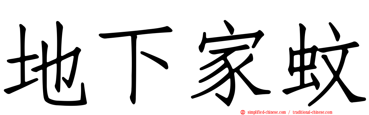 地下家蚊