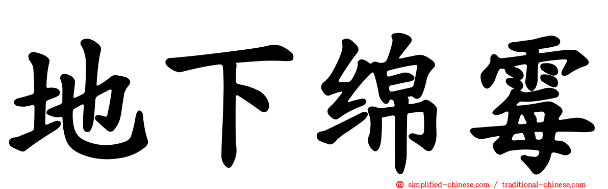 地下绵霉