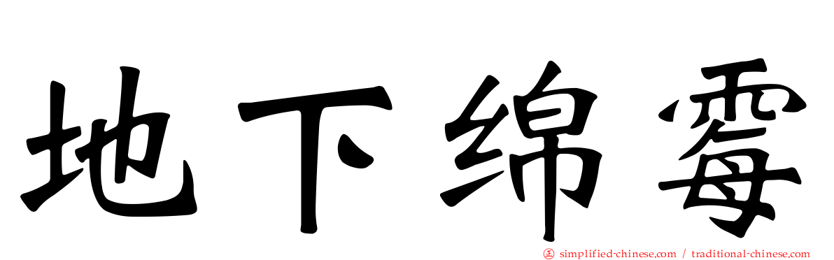 地下绵霉