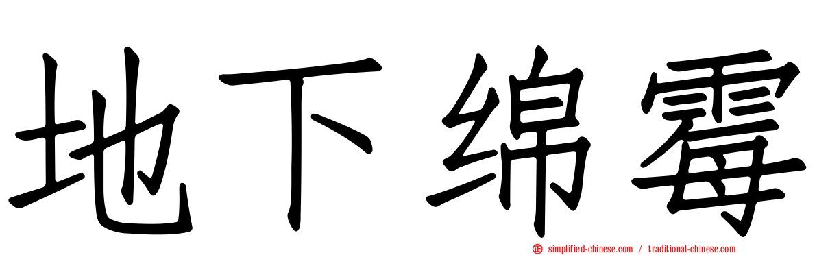 地下绵霉