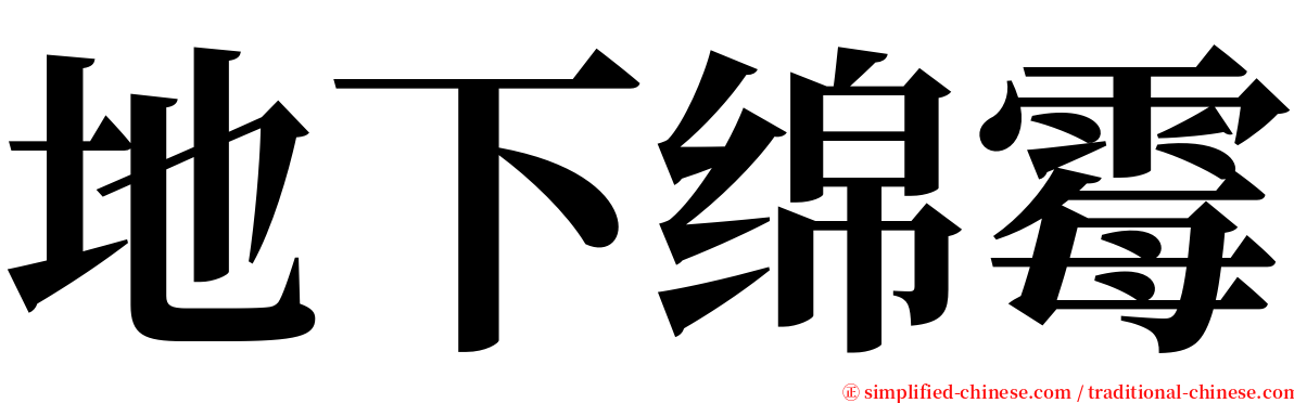地下绵霉 serif font