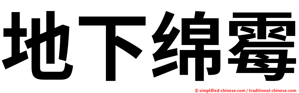 地下绵霉