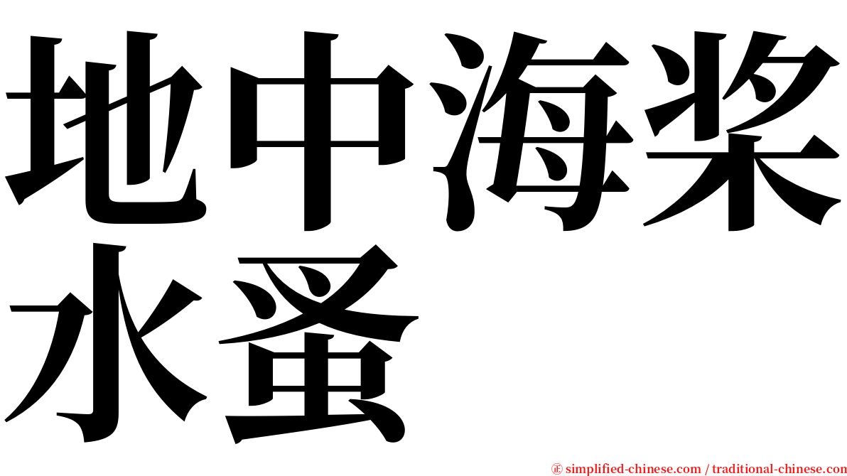 地中海桨水蚤 serif font