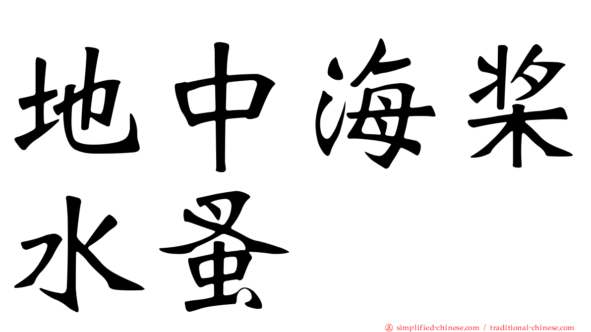 地中海桨水蚤