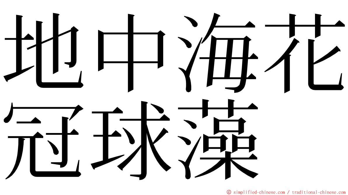 地中海花冠球藻 ming font
