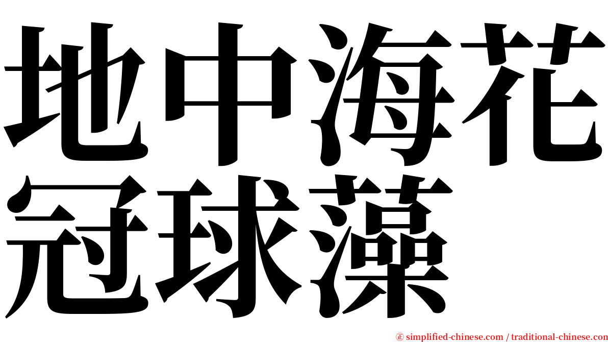 地中海花冠球藻 serif font