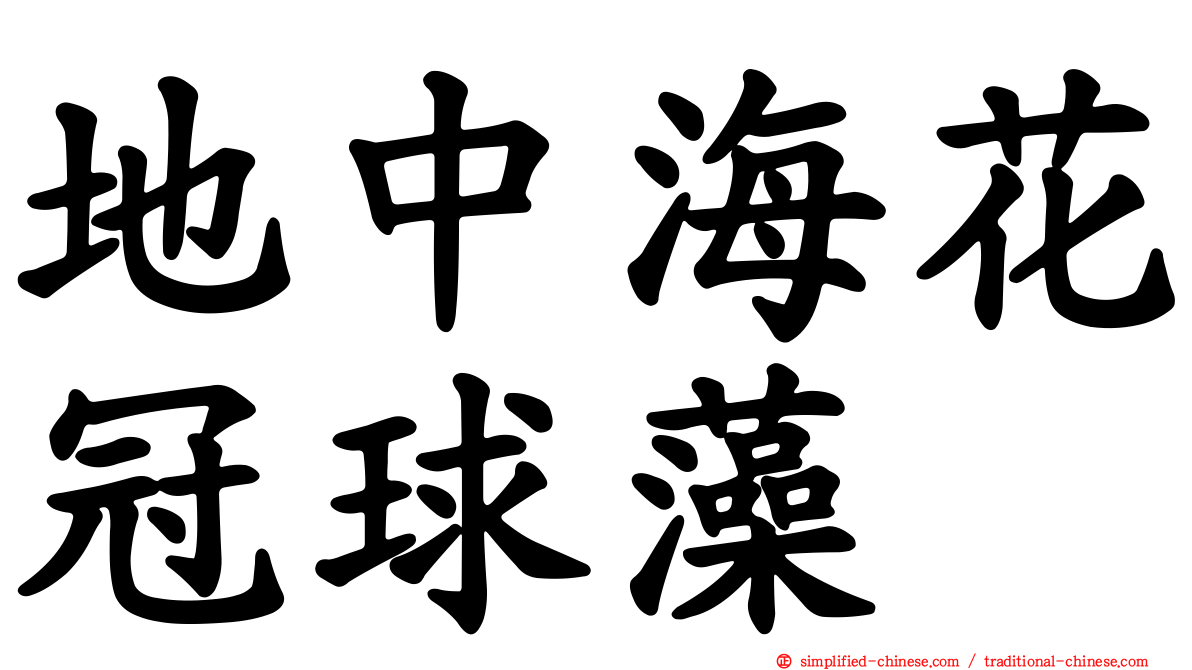 地中海花冠球藻