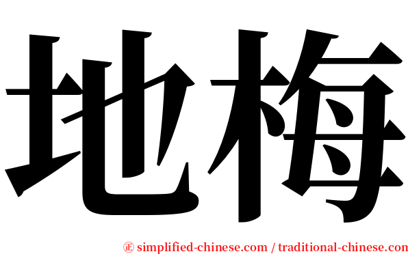 地梅 serif font
