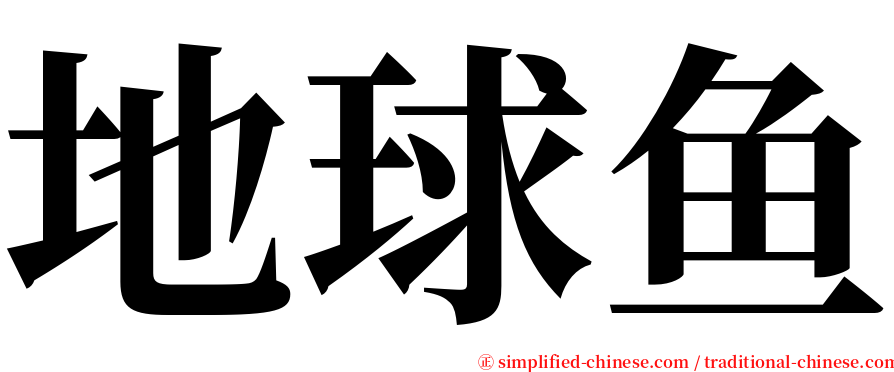 地球鱼 serif font