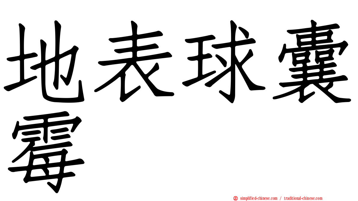 地表球囊霉