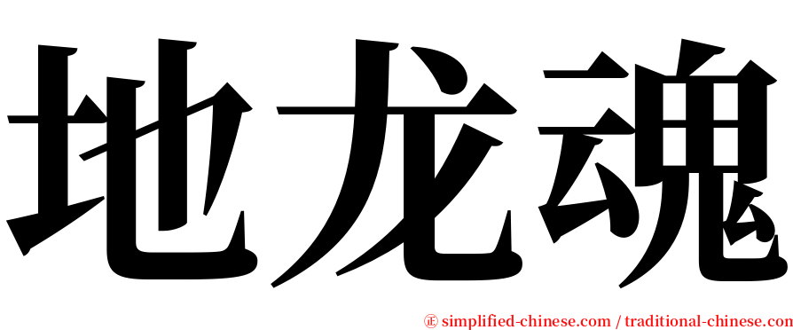 地龙魂 serif font