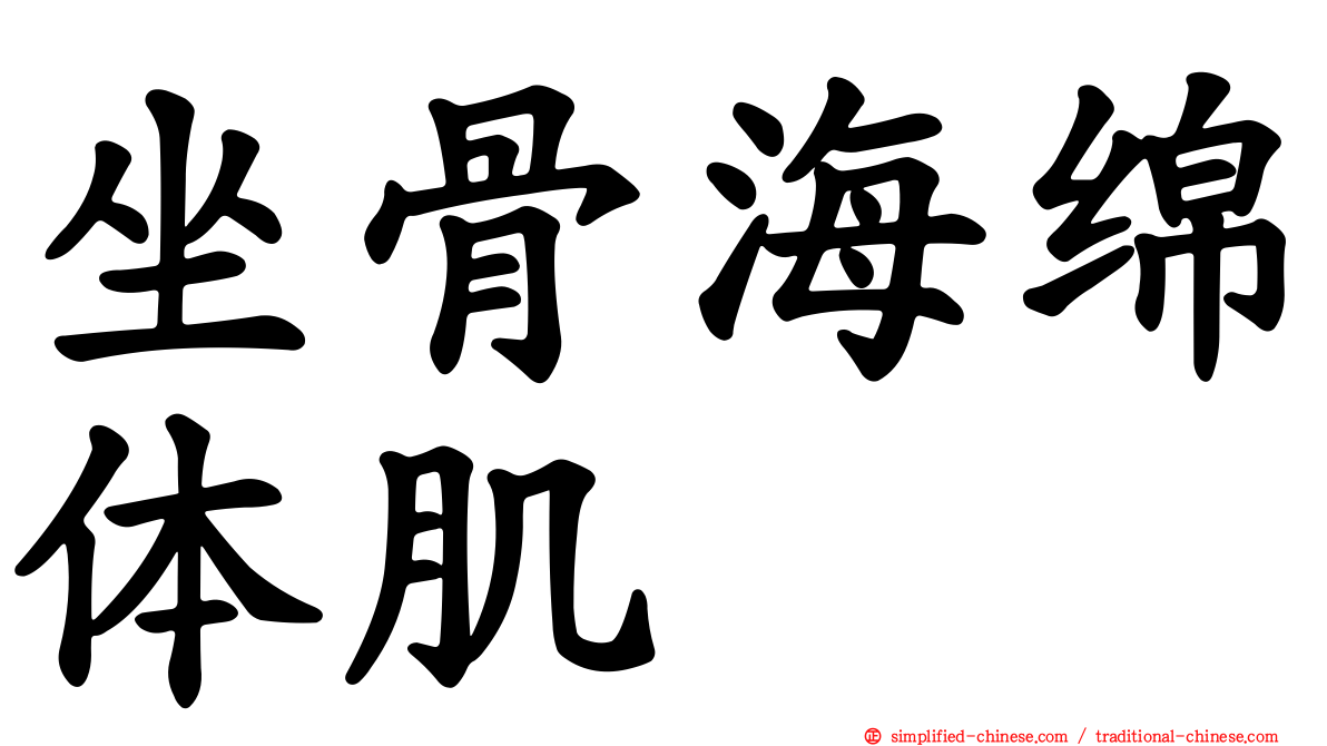坐骨海绵体肌