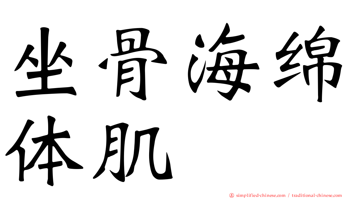 坐骨海绵体肌