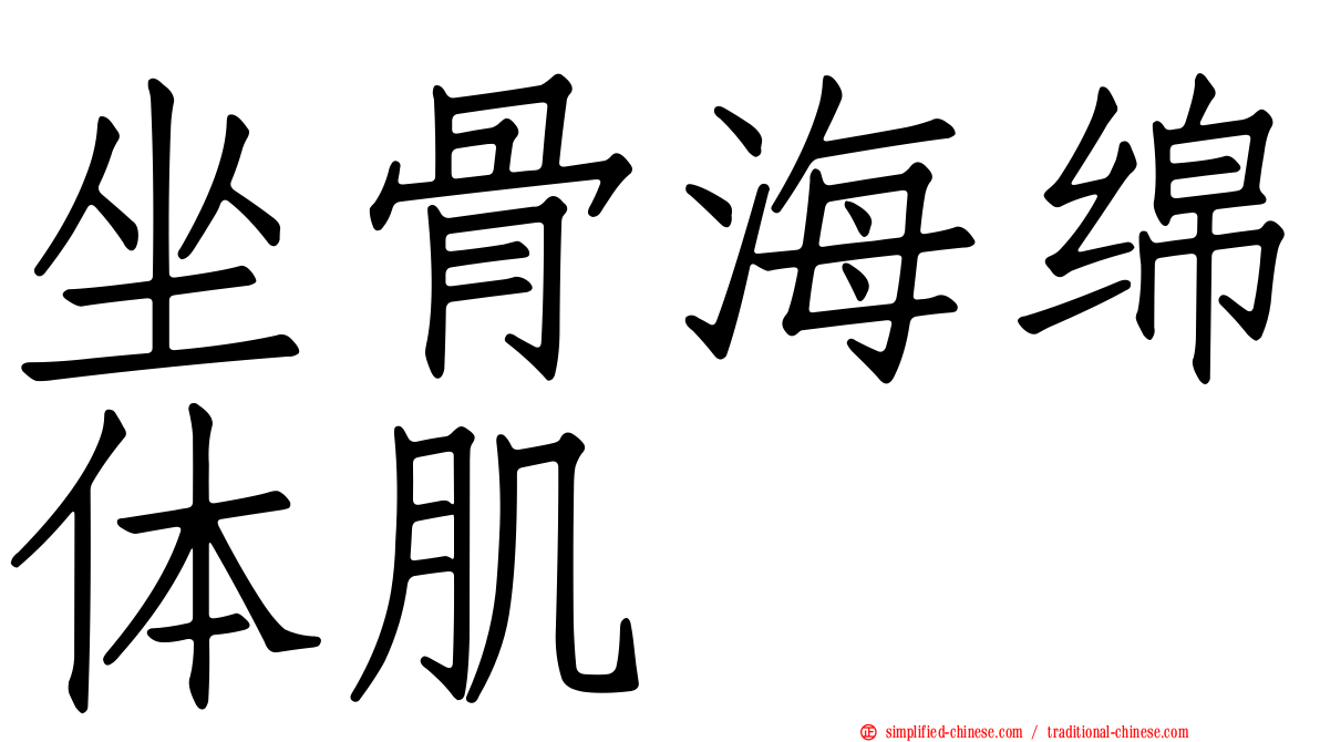 坐骨海绵体肌