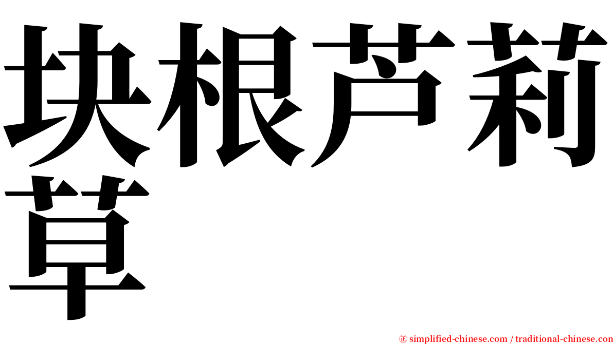 块根芦莉草 serif font