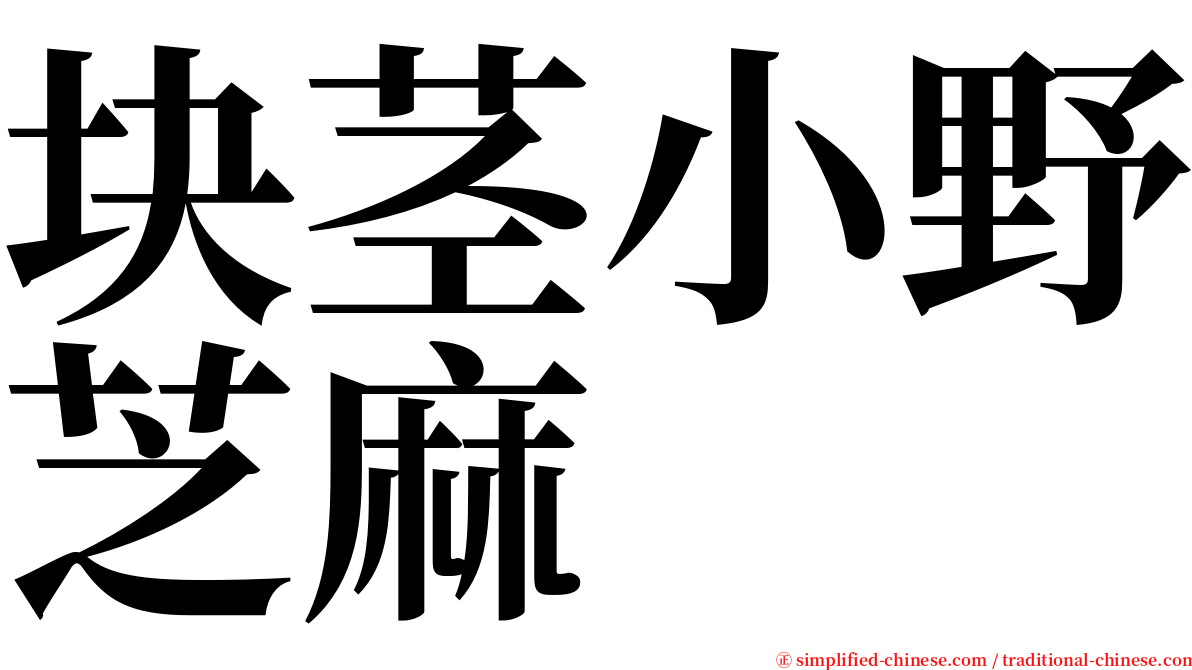 块茎小野芝麻 serif font