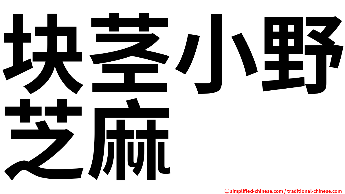 块茎小野芝麻
