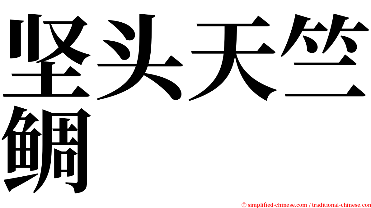 坚头天竺鲷 serif font