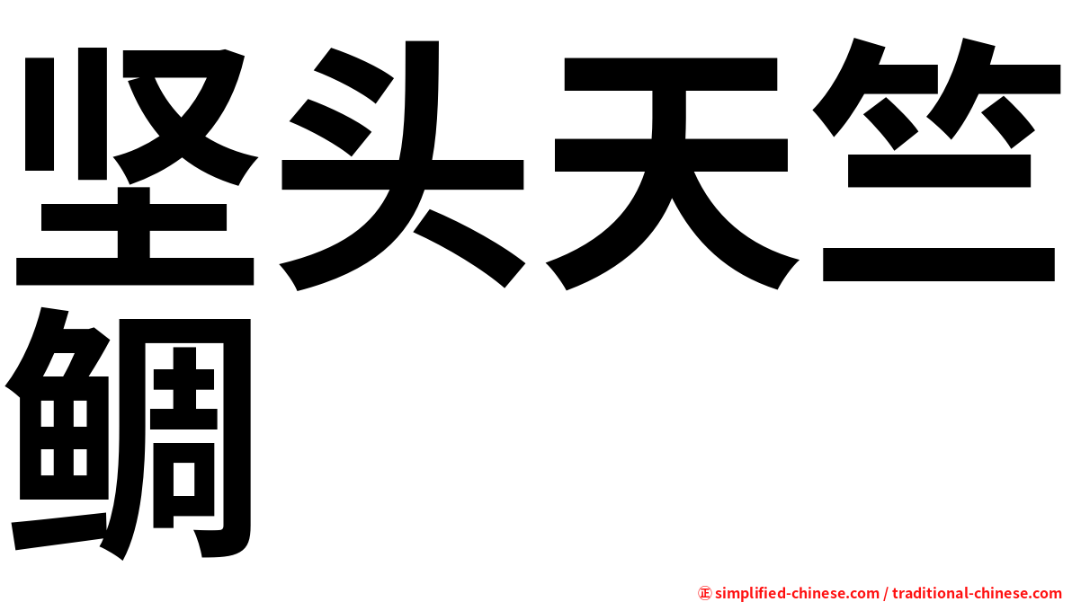 坚头天竺鲷