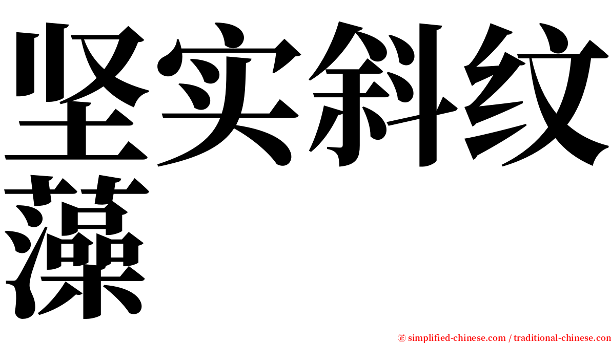坚实斜纹藻 serif font