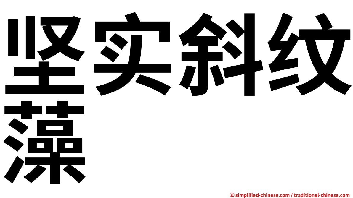 坚实斜纹藻