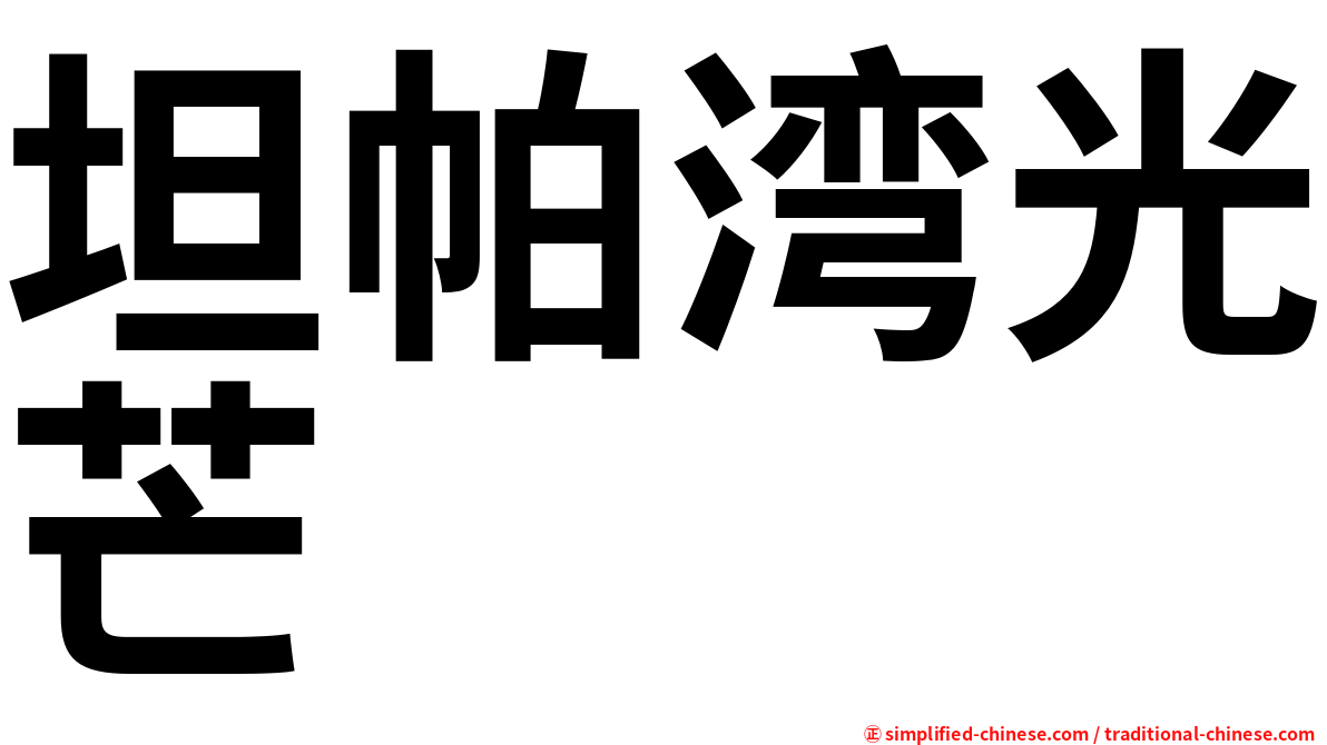 坦帕湾光芒