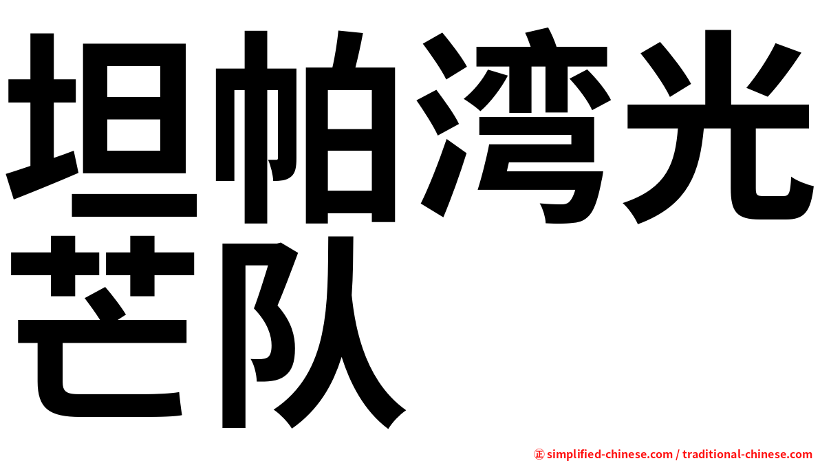 坦帕湾光芒队