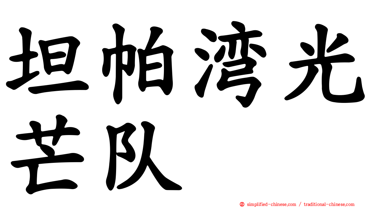 坦帕湾光芒队