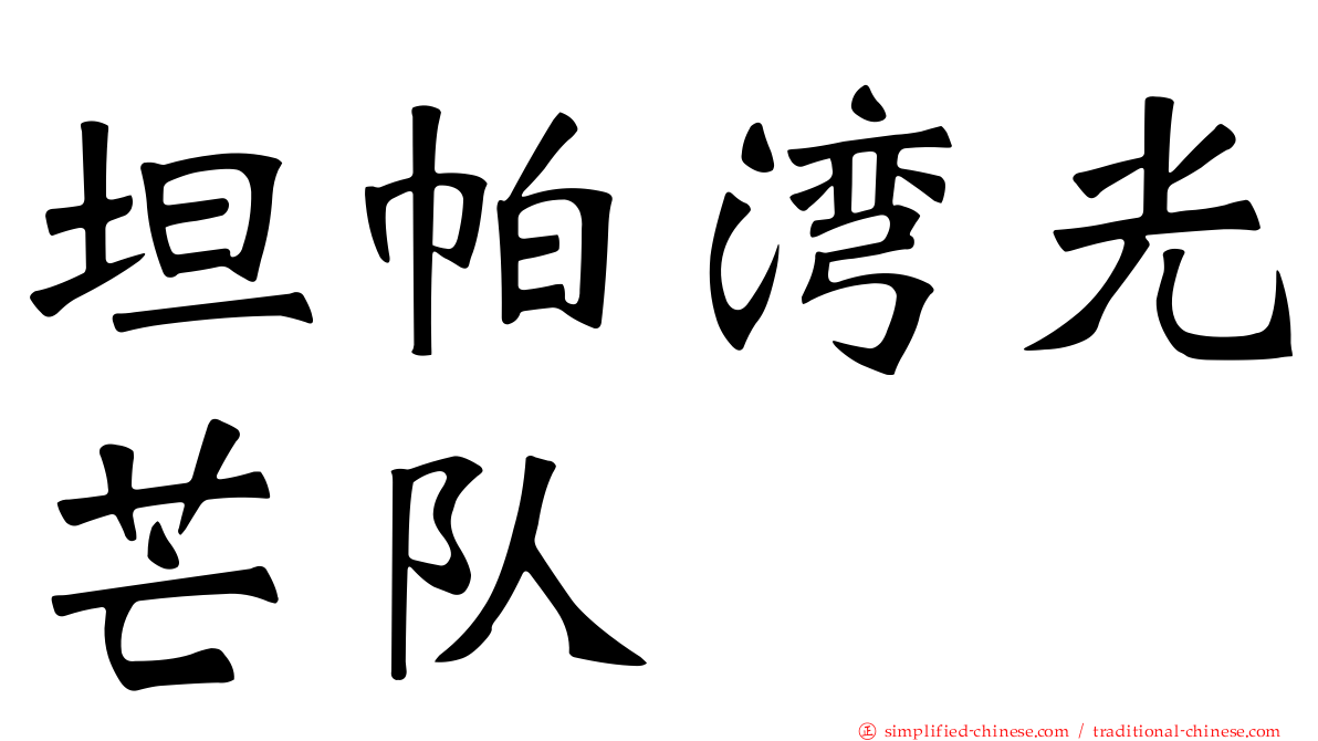 坦帕湾光芒队