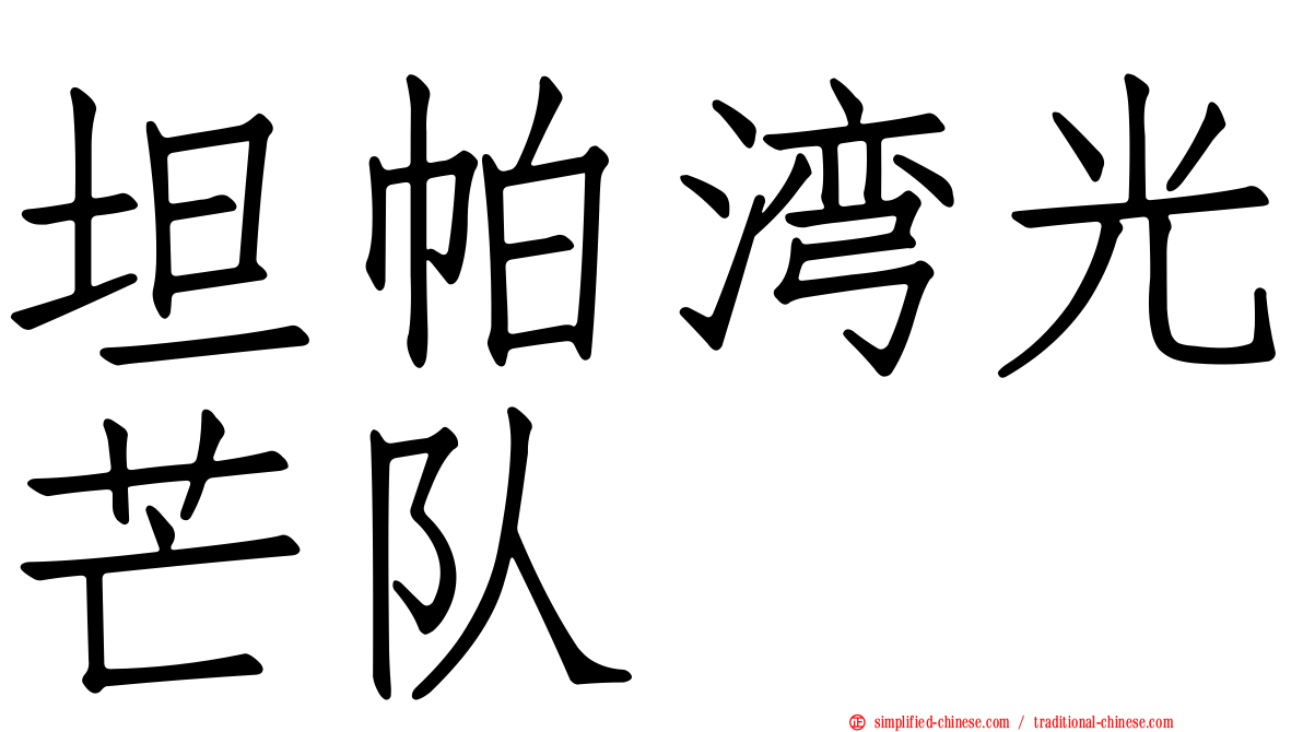 坦帕湾光芒队