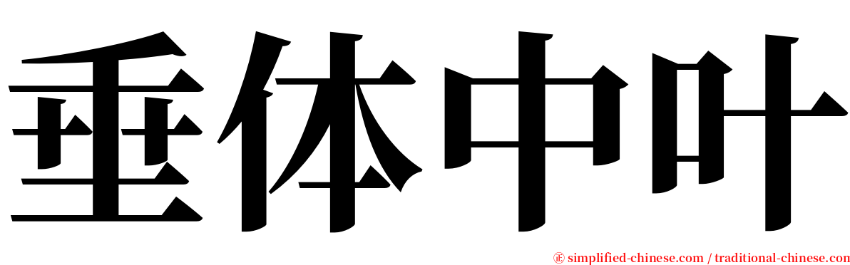 垂体中叶 serif font