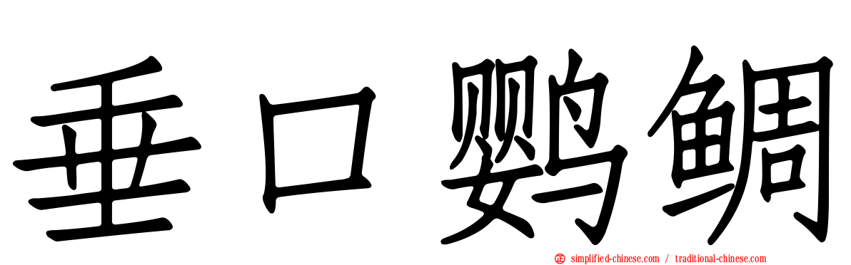 垂口鹦鲷