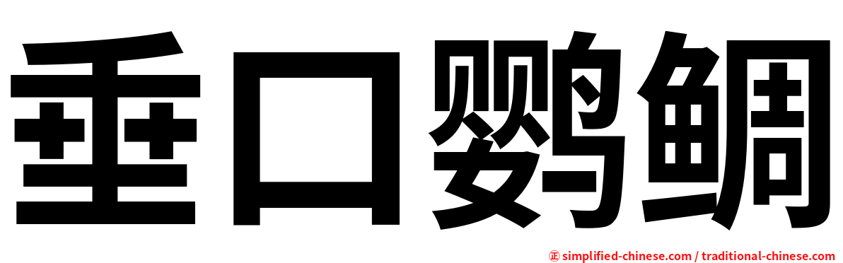垂口鹦鲷