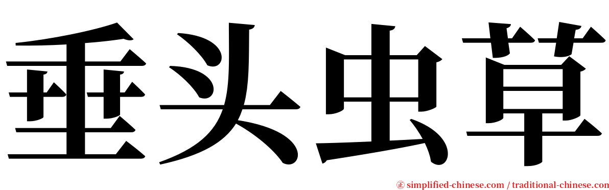 垂头虫草 serif font