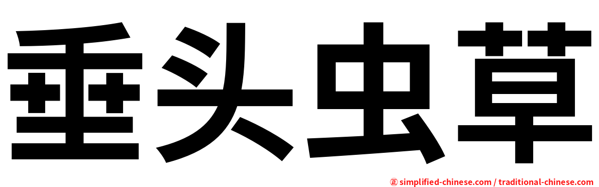 垂头虫草