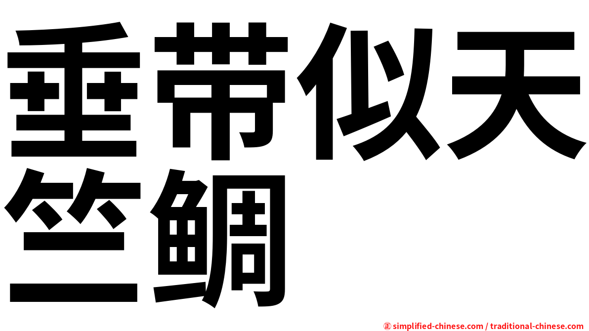 垂带似天竺鲷