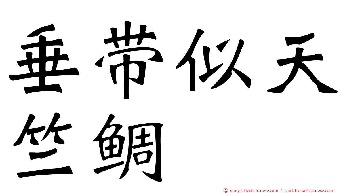 垂带似天竺鲷
