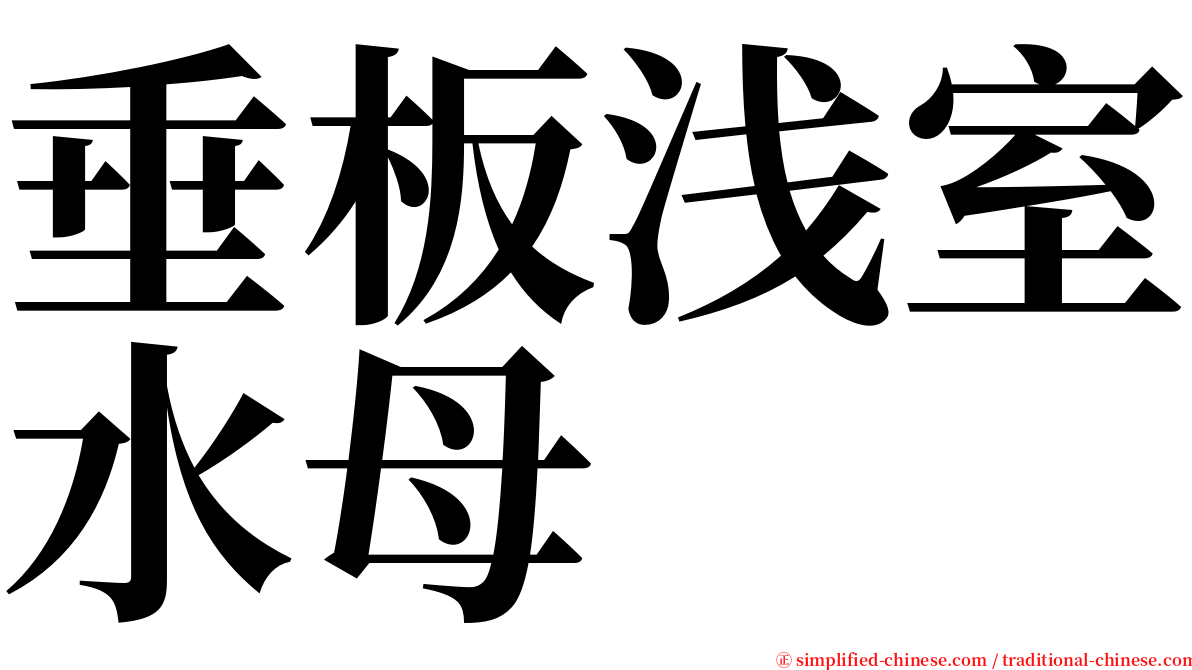 垂板浅室水母 serif font