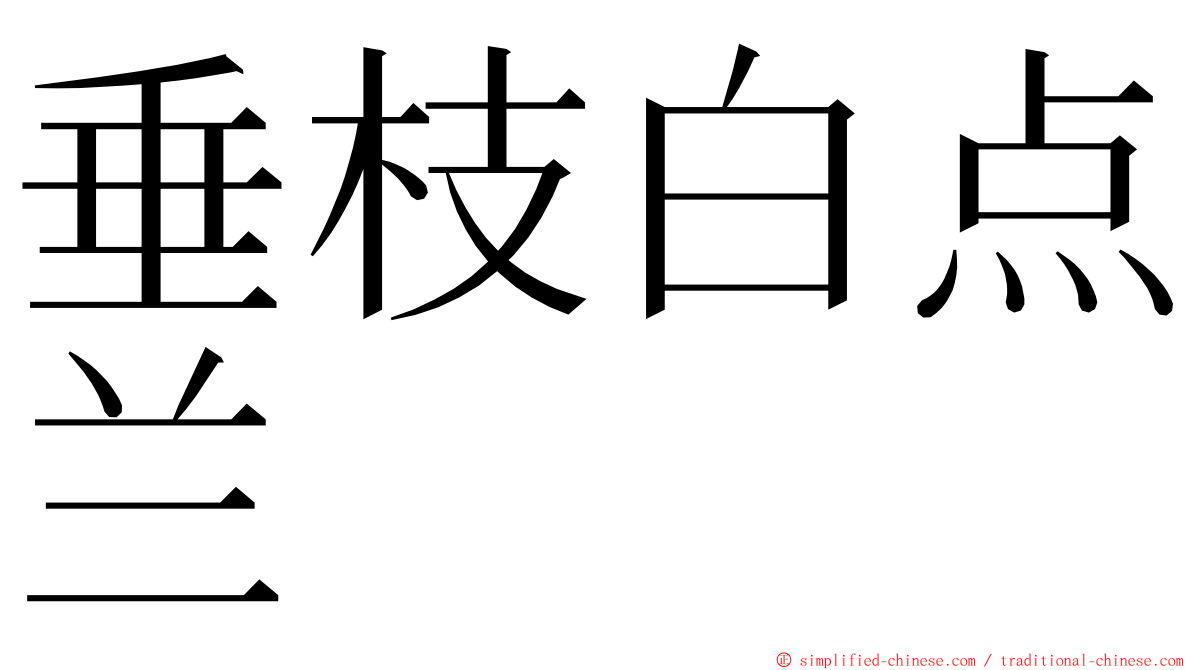 垂枝白点兰 ming font