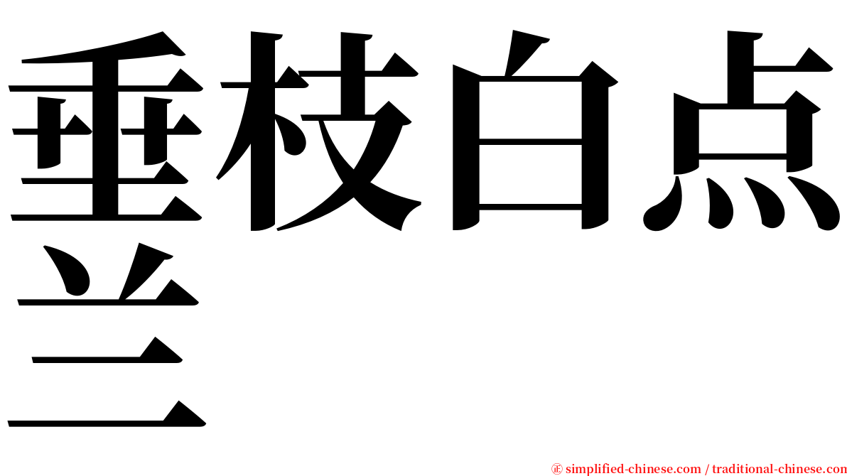 垂枝白点兰 serif font