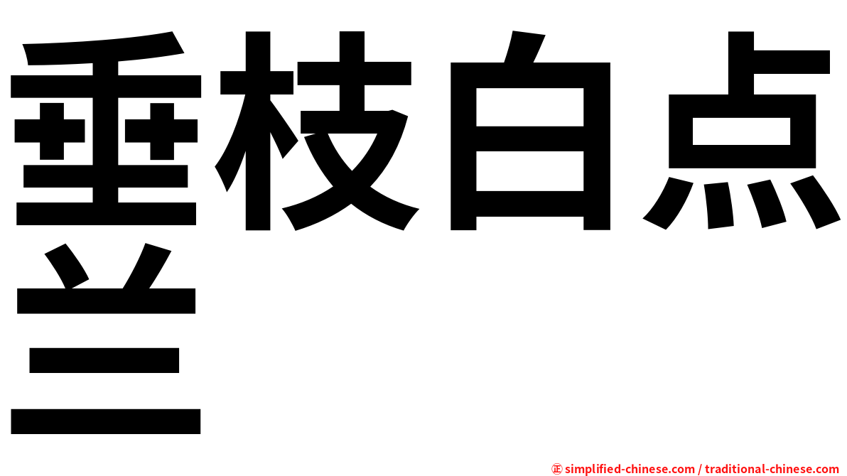 垂枝白点兰