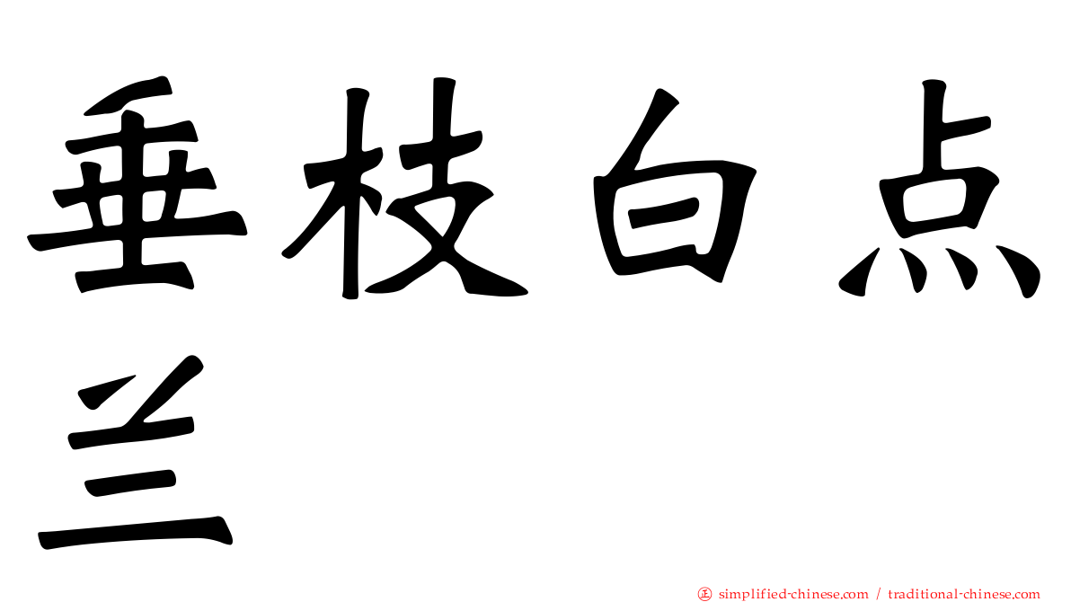 垂枝白点兰