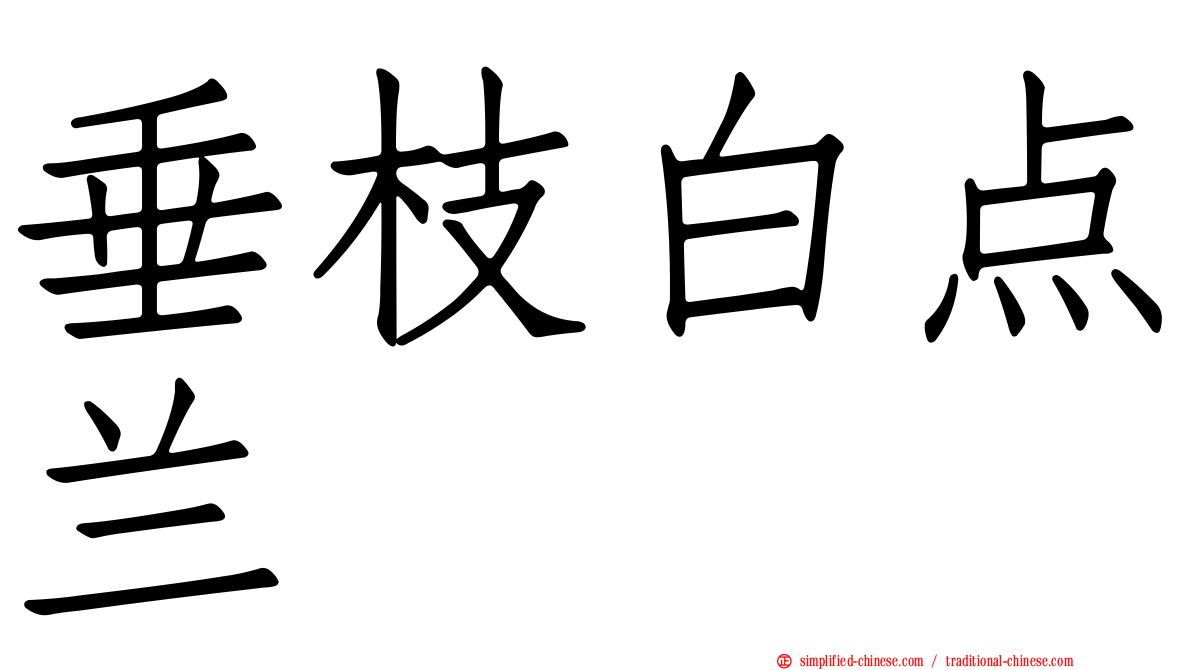 垂枝白点兰