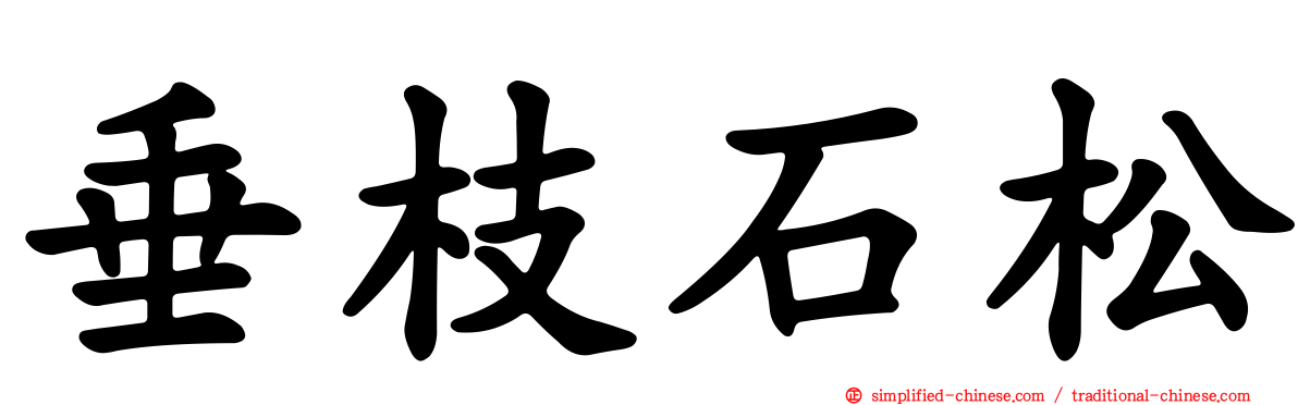 垂枝石松