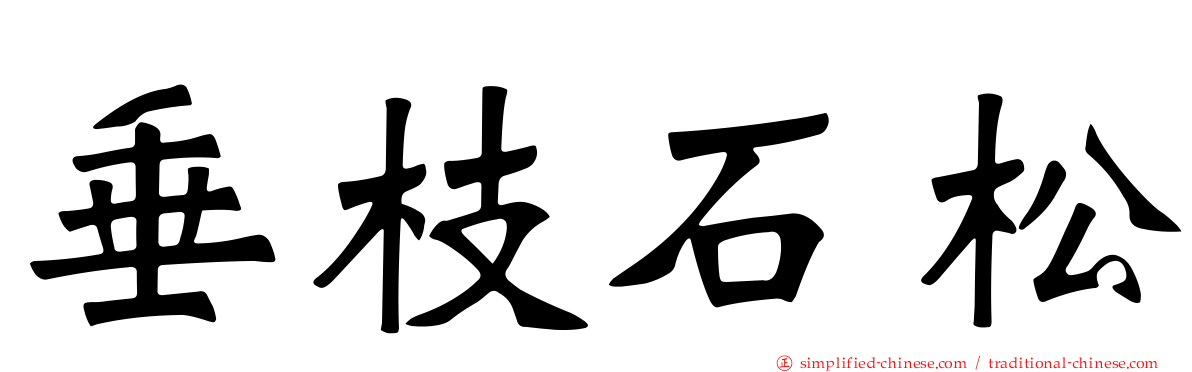 垂枝石松