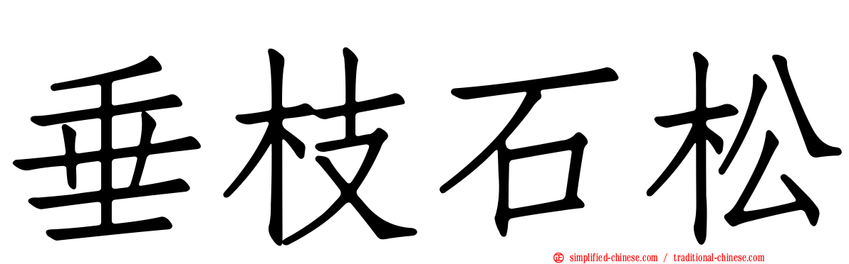 垂枝石松