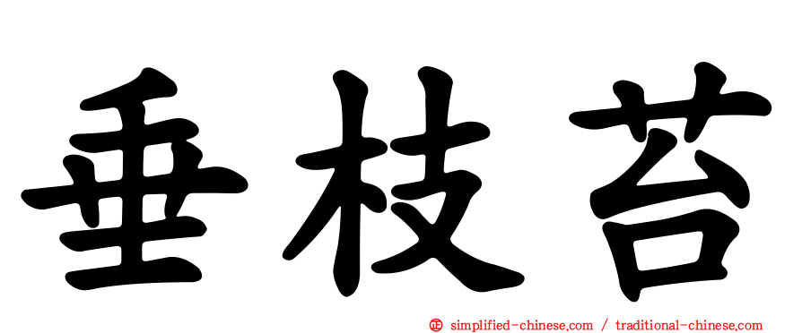 垂枝苔